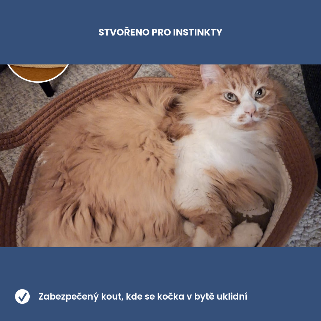 Bezpečný kout pro kočku