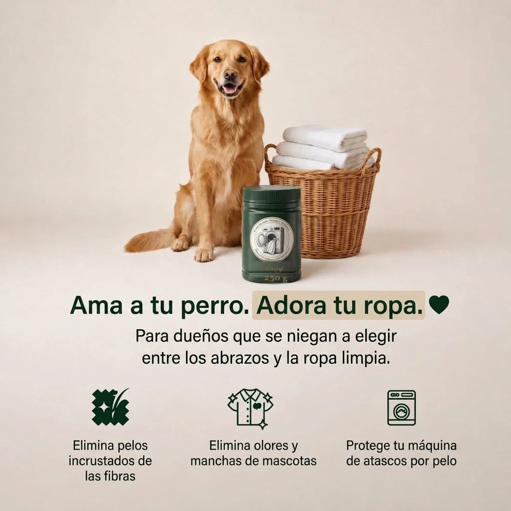 Perro junto a la ropa limpia gracias a SELNAY